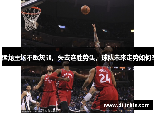 猛龙主场不敌灰熊，失去连胜势头，球队未来走势如何？